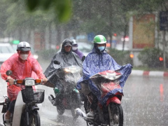 Ảnh bìa bài viết 948554
