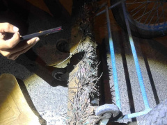 Ảnh bìa bài viết 948865