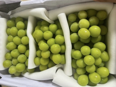 Ảnh bìa bài viết 949759