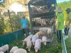 Ảnh bìa bài viết 950067