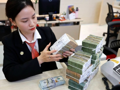 Ảnh bìa bài viết 950419