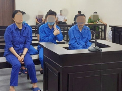 Ảnh bìa bài viết 950380