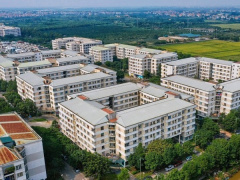 Ảnh bìa bài viết 950673