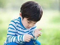 Ảnh bìa bài viết 951025