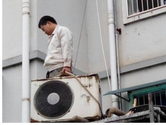 Ảnh bìa bài viết 951048