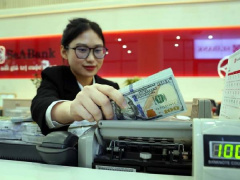 Ảnh bìa bài viết 951281