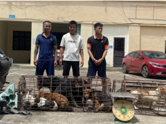 Ảnh bìa bài viết 951236