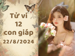 Ảnh bìa bài viết 951658