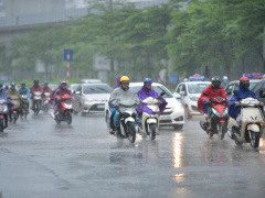 Ảnh bìa bài viết 952104