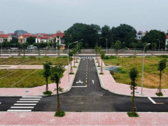 Ảnh bìa bài viết 952446