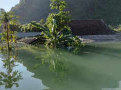 Ảnh bìa bài viết 952569
