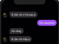Ảnh bìa bài viết 952700