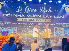 Ảnh bìa bài viết 953183