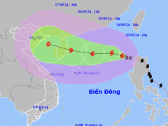 Ảnh bìa bài viết 953479