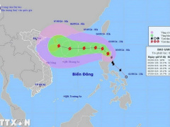 Ảnh bìa bài viết 953415