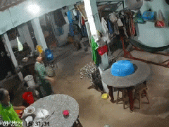 Ảnh bìa bài viết 953463