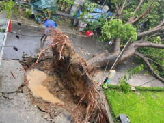 Ảnh bìa bài viết 953632