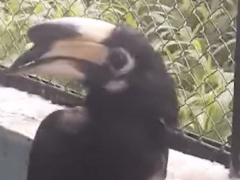 Ảnh bìa bài viết 953610