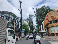 Ảnh bìa bài viết 953778