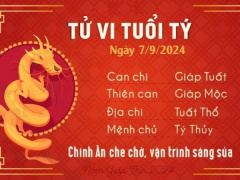 Ảnh bìa bài viết 953959