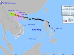 Ảnh bìa bài viết 954055