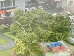 Ảnh bìa bài viết 954024