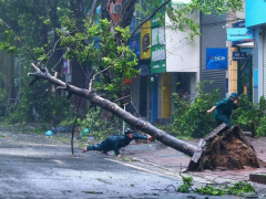 Ảnh bìa bài viết 954065