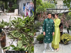 Ảnh bìa bài viết 954139