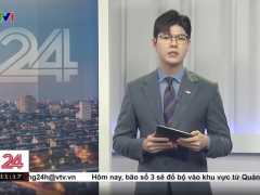 Ảnh bìa bài viết 954169