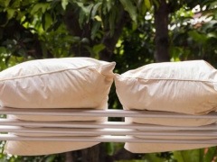 Ảnh bìa bài viết 954090