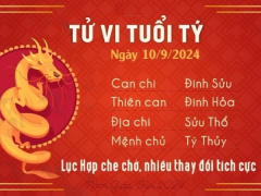 Ảnh bìa bài viết 954368