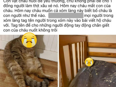 Ảnh bìa bài viết 954201