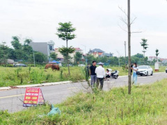 Ảnh bìa bài viết 954321