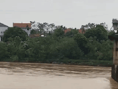 Ảnh bìa bài viết 954261