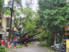 Ảnh bìa bài viết 954245