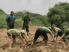 Ảnh bìa bài viết 954534