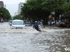 Ảnh bìa bài viết 954416