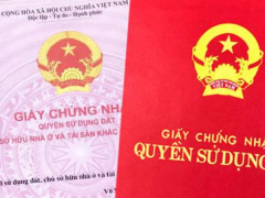 Ảnh bìa bài viết 954721