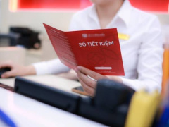 Ảnh bìa bài viết 954669