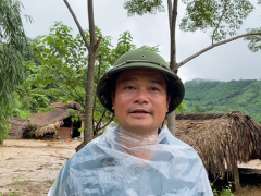 Ảnh bìa bài viết 954596