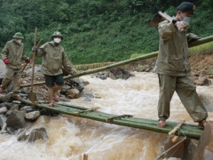 Ảnh bìa bài viết 954895