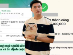 Ảnh bìa bài viết 955018