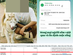 Ảnh bìa bài viết 954960