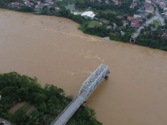 Ảnh bìa bài viết 955040