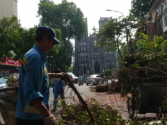 Ảnh bìa bài viết 955168