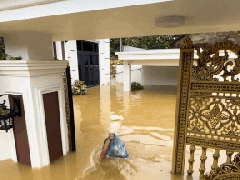 Ảnh bìa bài viết 955064