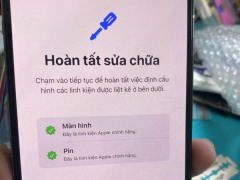 Ảnh bìa bài viết 955136