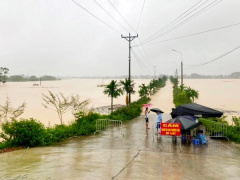 Ảnh bìa bài viết 955252