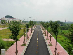 Ảnh bìa bài viết 955387
