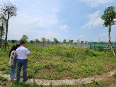 Ảnh bìa bài viết 955355